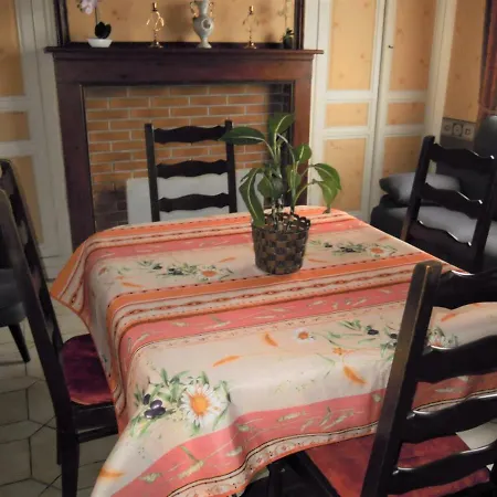 Vakantiehuis Charmante Maison A Recques-sur-hem, 2 Pers, Animaux Acceptes, Jardin, Proche Calais Et St Omer - Fr-1-376-58 *